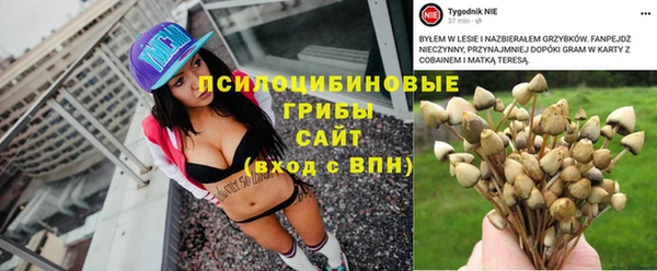 дживик Михайловка