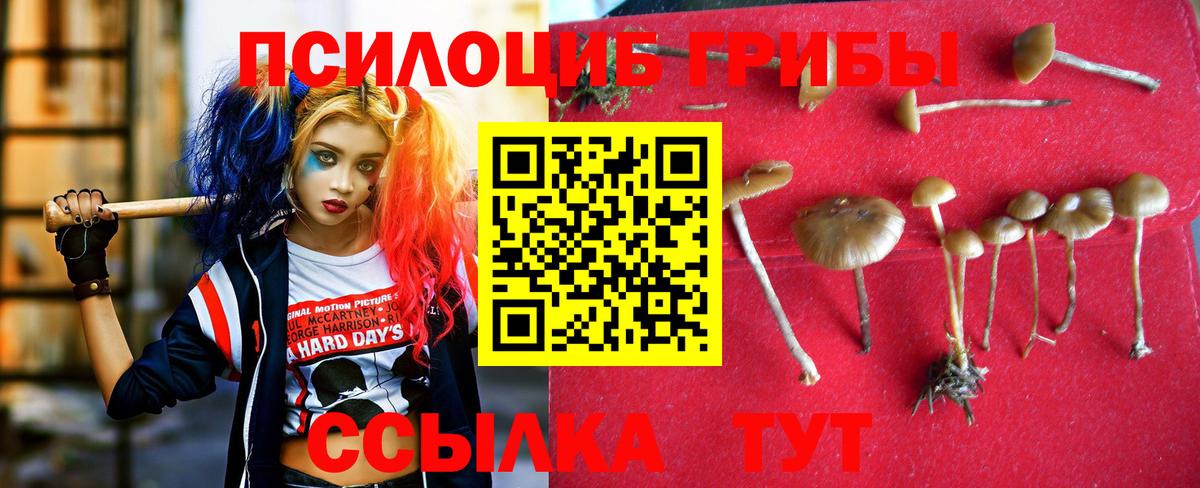 Псилоцибиновые грибы Psilocybine cubensis  Псилоцибиновые грибы Cubensis  Вход с VPN  купить  сайты  Подольск 