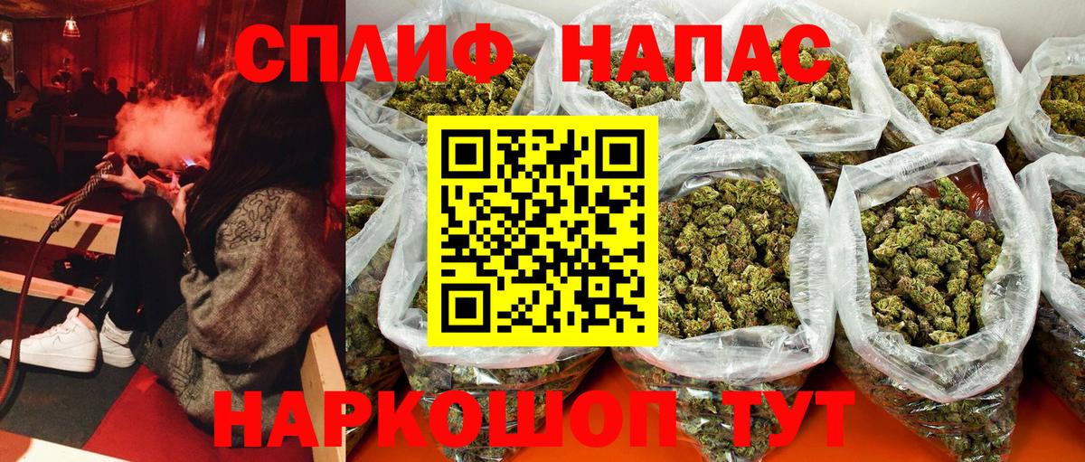 Бошки Шишки планчик Подольск
